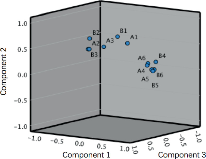 Research on the Correlation of User Evaluation on the Interaction ...