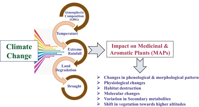 Consequences of Climate Change on Medicinal and Aromatic Plants in the ...