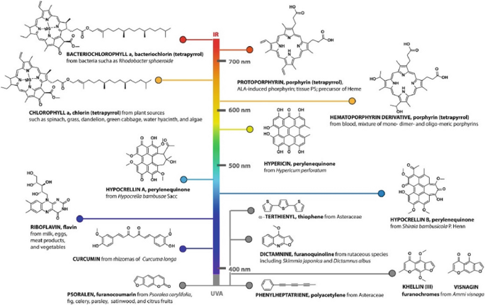 Photoinactivation of Food Pathogens: Trends and Recent Developments ...