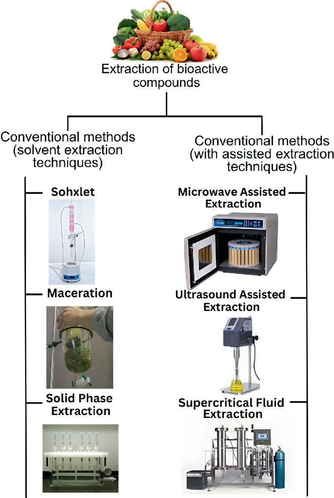 Recovery of Bioactive Compounds from Fruit and Vegetable Wastes ...