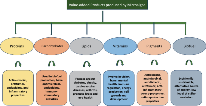 Applications of Microalgae for Biofuels, Value-Added Products and ...