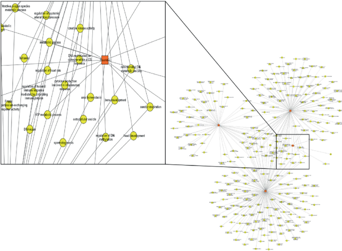 Network Biology Approach for Identification of Predisease Biomarkers