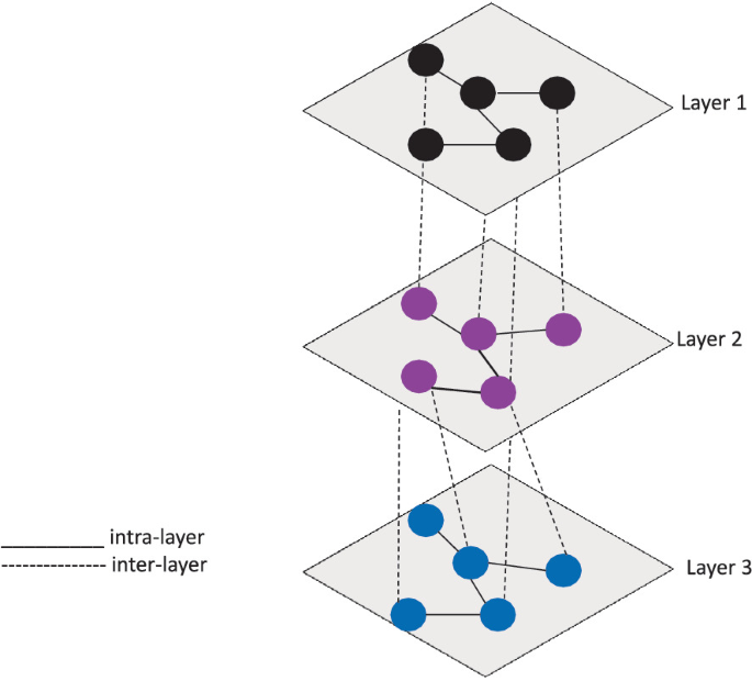 A Pipeline for the Analysis of Multilayer Brain Networks | SpringerLink