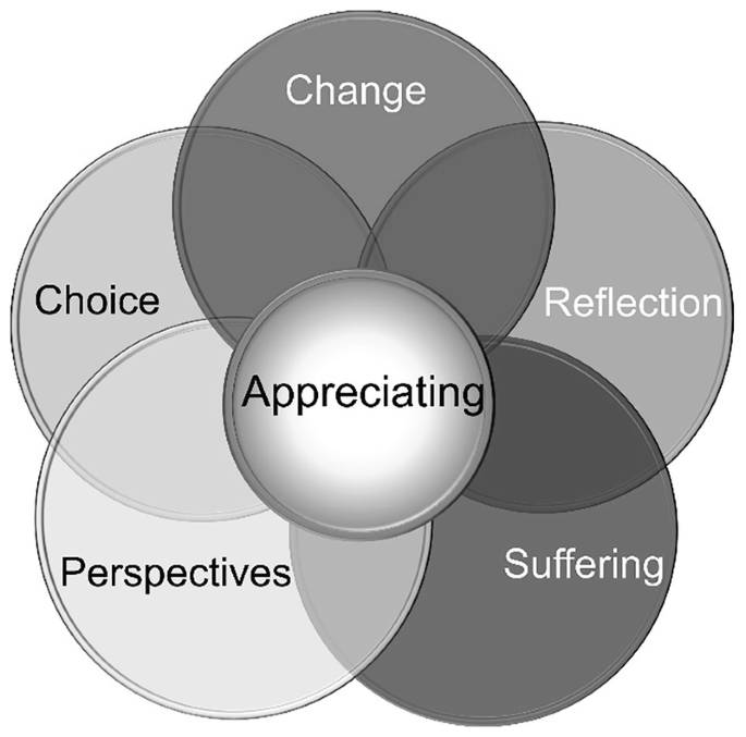 Implementing Appreciation Appreciating: Valuing the Experiences | Springer Nature Link