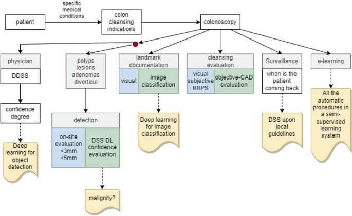 Individual Health Data Storage for Diagnosis and Decision Support ...