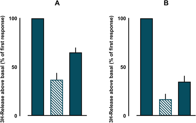 2 bar graphs of 3 H release above basal named A and B. The rate of 3 H release is greater in graph A compared to that in graph B. Both graphs follow overall positive trends.