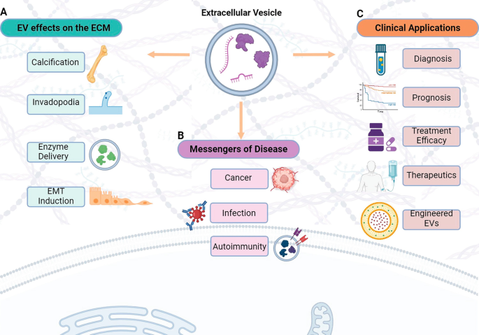 Manipulating the Matrix: Role of Extracellular Vesicles | SpringerLink