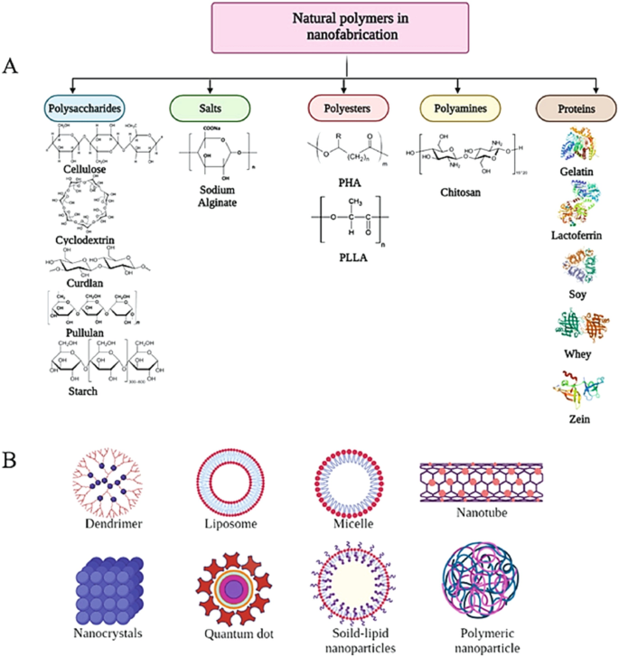 NanoEnhanced Biopolymers for Antimicrobial Applications SpringerLink