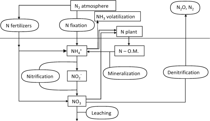 Nitrogen Fertilization I: The Nitrogen Balance | SpringerLink