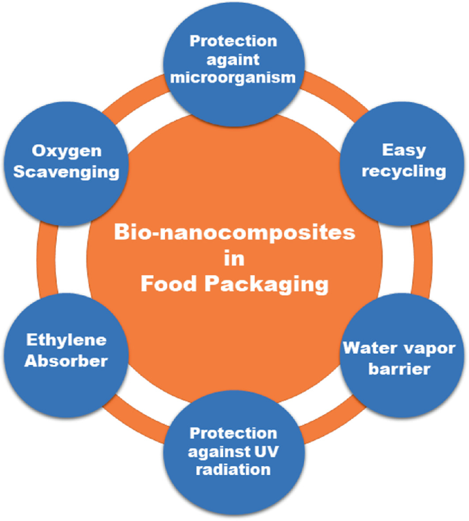 Bio-nanocomposites for Food Packaging: Synthesis and Surface 