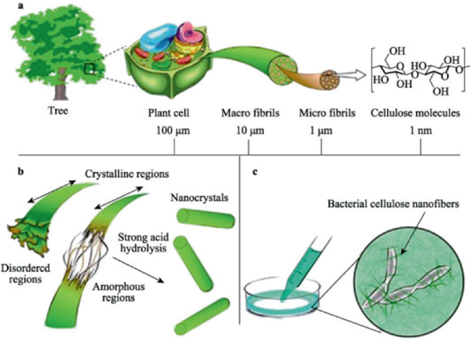 Recent Progress in Wood-Based Bio-nanocomposites and Their Biomedical ...