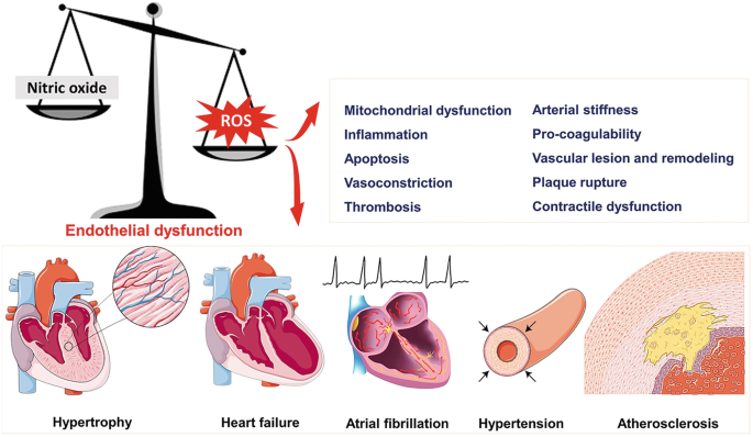 can glutathione cause heart problems Amazon.com: PurePremium Reduced Glutathione 1000mg per Serving  98% Purity   L-Glutathione Supplement 500mg per Capsule  Antioxidant Supplement for  Liver Detox, Skin, Brain & Immune Support  45-Day Supply : Everything Else