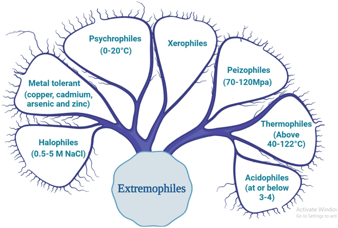 Bioactive Compounds/Metabolites from Extremophiles for Biocontrol and ...