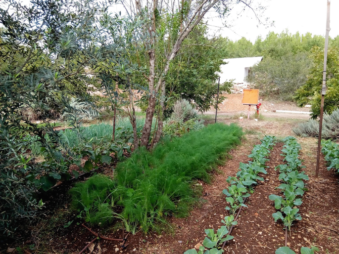 Current Climate, Soil, and Natural Vegetation | SpringerLink