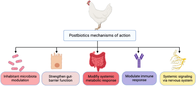 Use of Postbiotics in the Poultry Industry: Current Knowledge and ...