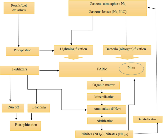 Impact of Fertilizers on Greenhouse Gas Mitigating Microbes in