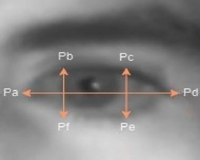 eAuthenticate Enhancing Security with Machine Learning Based RealTime