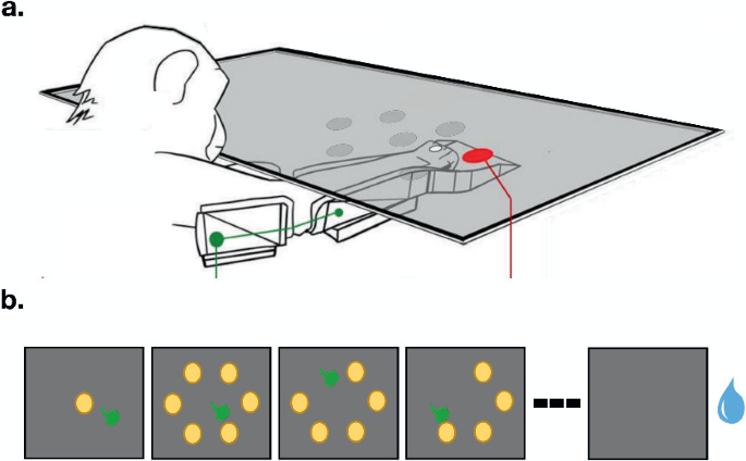 Non-instructed Motor Skill Learning in Monkeys: Insights from Deep ...