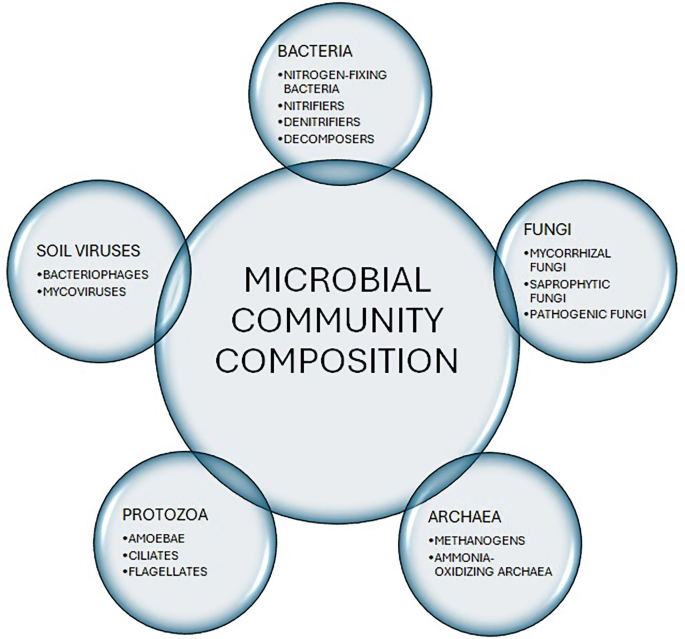 Soil Microbial Community Dynamics and Plant Proliferation | SpringerLink