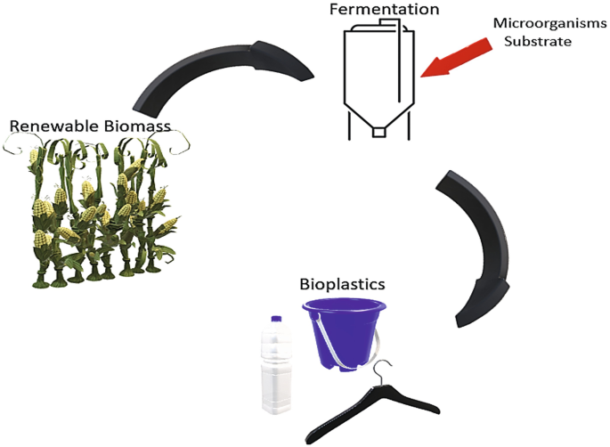 Development and Characterization of Biodegradable Bioplastics Using
