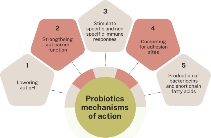 BIO CULTURES COMPLEX Probiotics and Prebiotics - 77 Billion CFU - 20 Live... £22.86 - UK