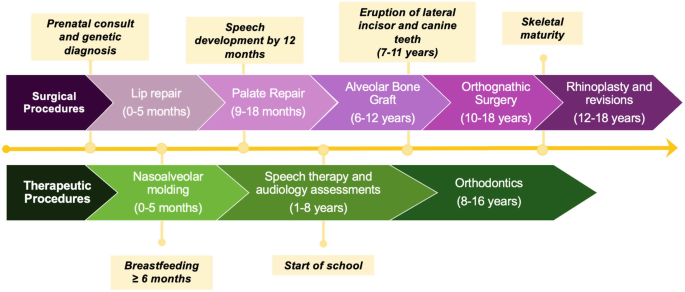 Cleft Palate Treatment Timeline