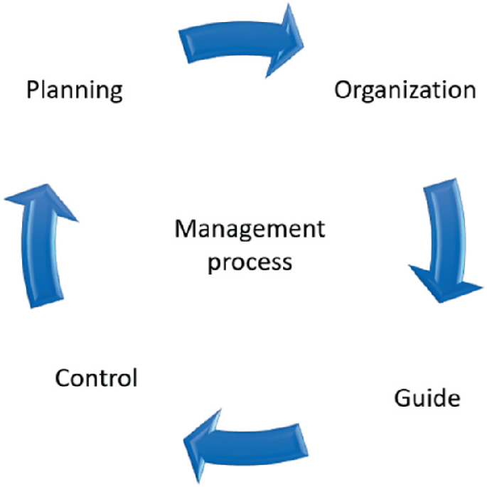 Management and Its Relationship with Ownership | SpringerLink