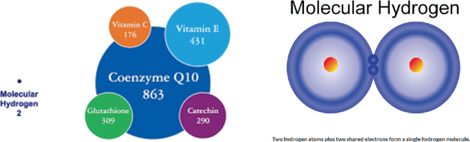 Perspective of Mitochondrial Nephrology