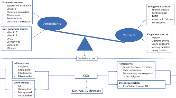 glutathione in our body Amazon.com: Immunocal Energy and Performance Bundle