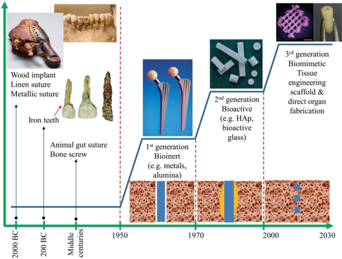Biomedical Evolution Introduction | SpringerLink