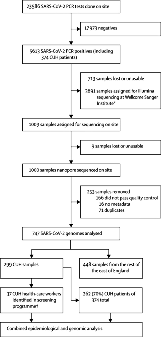 Critical Appraisal of Molecular Epidemiology Infectious Disease ...