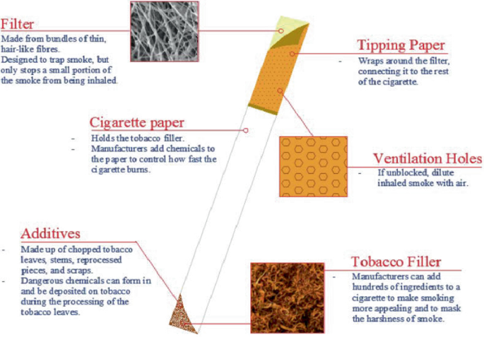 what is a cigarette made up of Turning Cigarette Butts (CBs) into Valuable Resources: Technical Potential  and Drawbacks