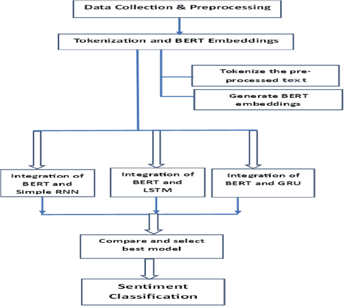 Bert Variants An Efficient Sentiment Classification Model Using Fusion of BERT and ...