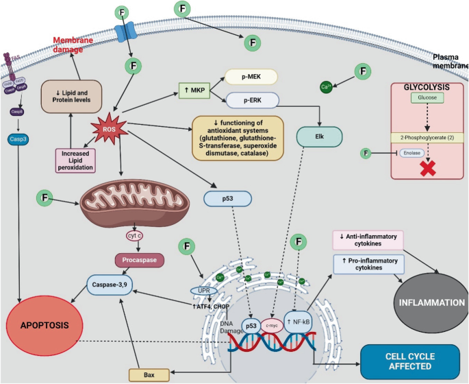 glutathione hangiver Effects of GSH on Alcohol Metabolism and Hangover Improvement in Humans: A  Randomized Double-Blind Placebo-Controlled Crossover Clinical Trial