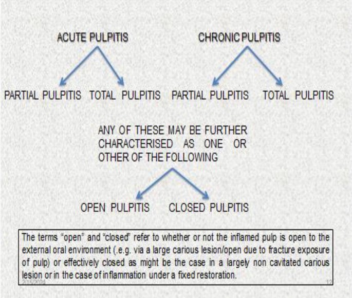 Pulpitis Skin Histopathology of the Diseases of the Dental Pulp | SpringerLink