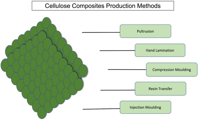 Cellulose, Chitin, and Chitosan Composite-Based Sustainable ...