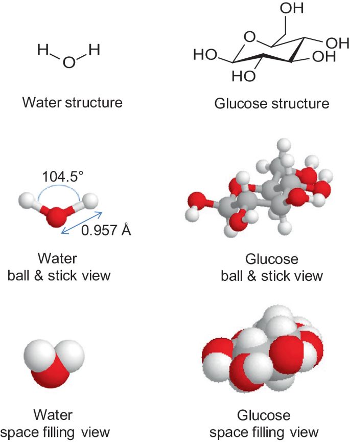 Radioactivity: Basic Concepts | Springer Nature Link