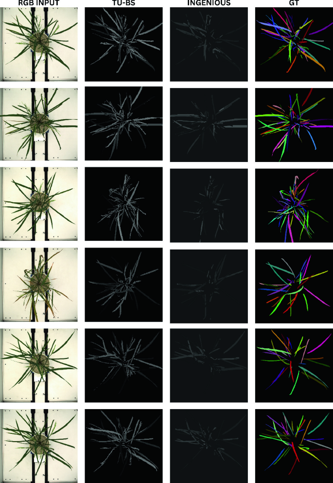 ICPR 2024 Leaf Inspect Competition Leaf Instance Segmentation and