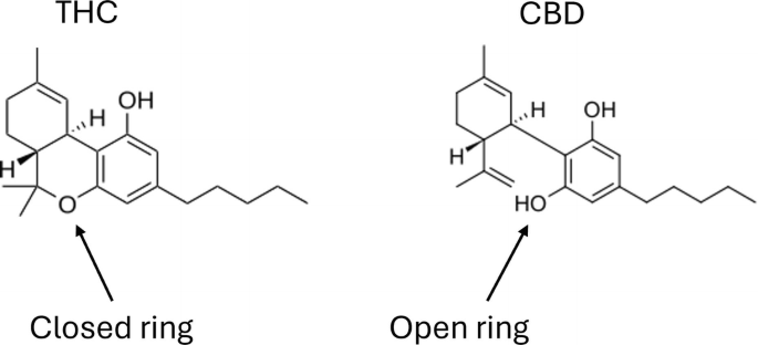Cannabinoid Pharmaceutical Science: Laying the Foundation for Cannabis ...