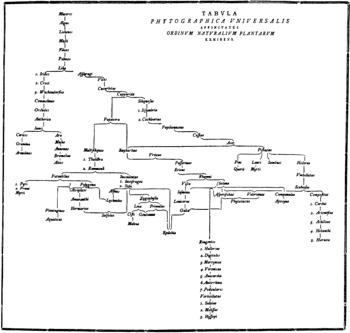 Tabulla Tree Improving Predictive Quality: The Natural Systems | SpringerLink