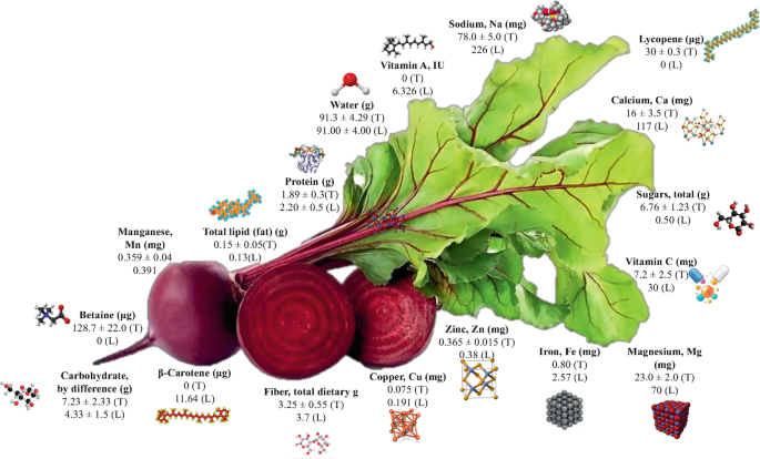 Bioactive Phytochemicals from Beetroot (Beta vulgaris) By-Products |  Springer Nature Link
