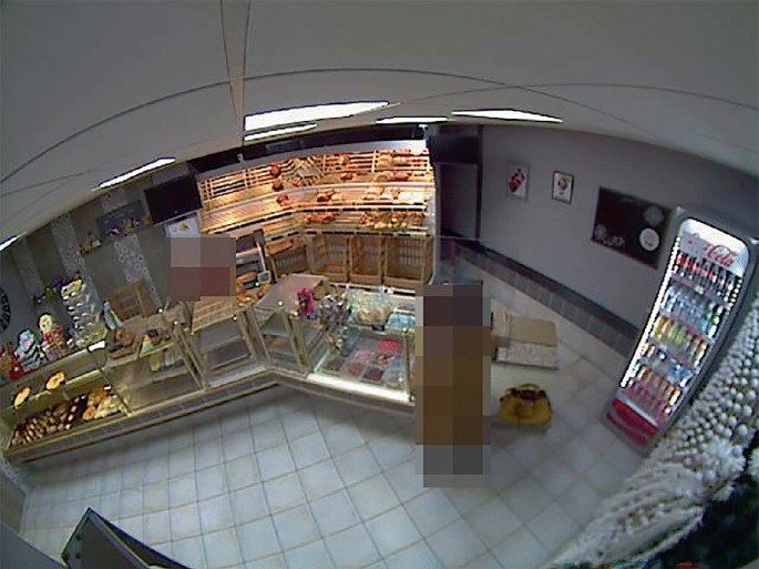 Estimation of Psychosocial Work Environment Exposures Through Video ... image.