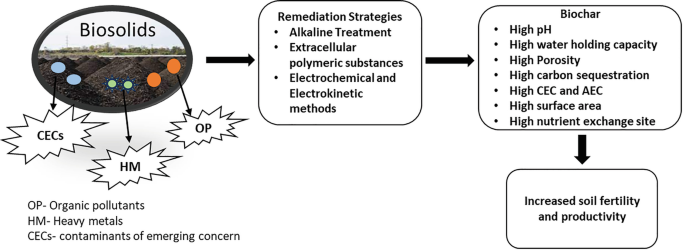 Recycling Biosolids into Agriculture: Prospects and Challenges ...