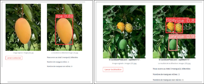 Analysis, Design and Implementation of a Ripe Mango Detection Program ...