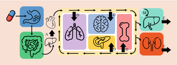 Modeling ADME/Tox for Drug Discovery in the Age of Data | Springer ...