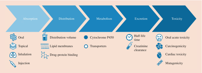 ADMET Modeling and its Application in Drug Discovery for Metabolic ...