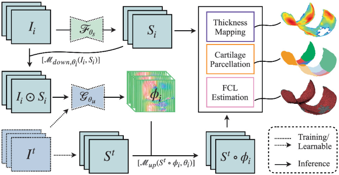 Quantifying Knee Cartilage Shape and Lesion: From Image to Metrics ...