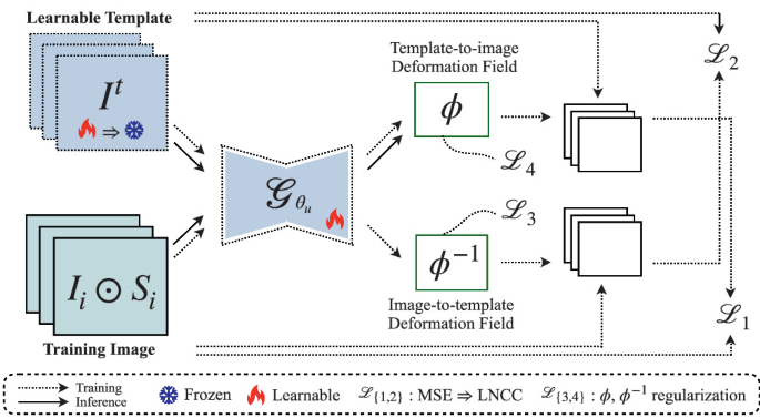 Quantifying Knee Cartilage Shape and Lesion: From Image to Metrics ... image.