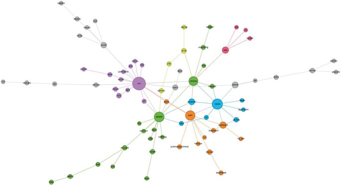 contrasting visualization showing formal org chart versus actual influence network with colorful connection lines and nodes