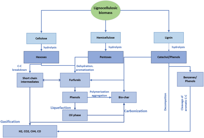 Thermal Conversion of Biomass | Springer Nature Link